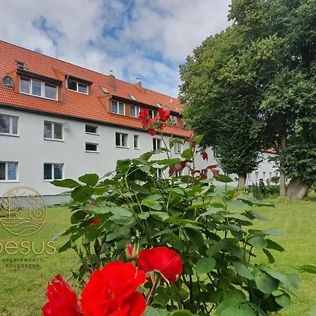 Апартаменти Pesus Powietrze Apartament Pelen Radosci Колобжег
