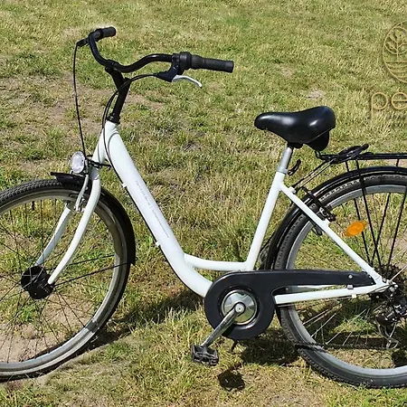 Pesus Powietrze Apartament Pelen Radosci *